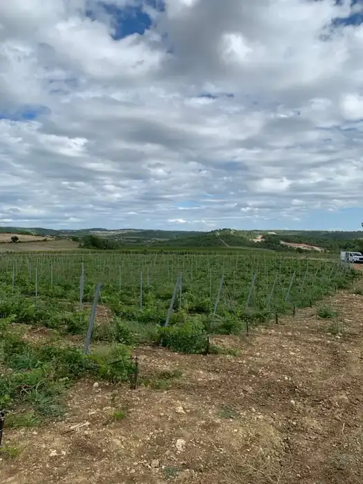Travaux de plantation et préparation de sol