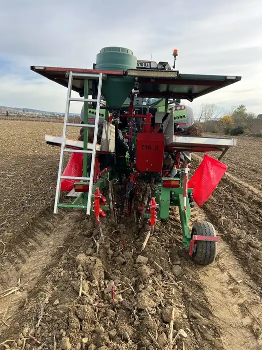 Travaux de plantation et préparation de sol