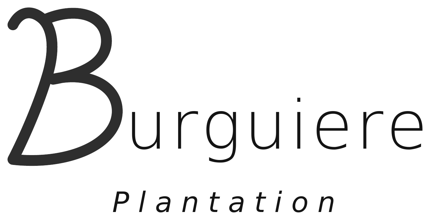 Logo Burguière Plantation
