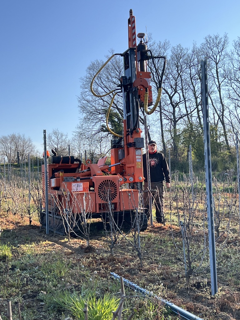 Pose de palissage dans une parcelle de vigne